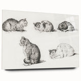 Romanticism Art: Five Studies of Cats by Jean Bernard