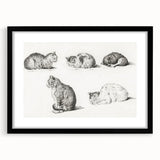 Romanticism Art: Five Studies of Cats by Jean Bernard
