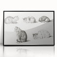 Romanticism Art: Five Studies of Cats by Jean Bernard