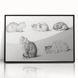 Romanticism Art: Five Studies of Cats by Jean Bernard