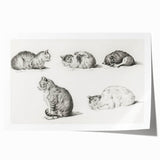 Romanticism Art: Five Studies of Cats by Jean Bernard