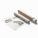 Romanticism Art: Five Studies of Cats by Jean Bernard