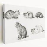 Romanticism Art: Five Studies of Cats by Jean Bernard