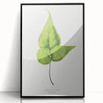 Detailed Realism Art Print - Adiantum Wilsoni Fern Botanical Illustration
