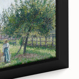 Apple Trees in Éragny, Sunny Morning - Idyllic Landscape by Camille Pissarro