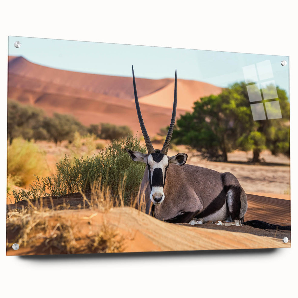 Acrylic print of an abstract Namibia scenery in earthy tones, ideal for dining room decor.