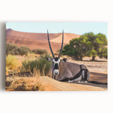 Black and white stretched canvas featuring a large, detailed Namibian landscape, ideal for kitchen wall art.