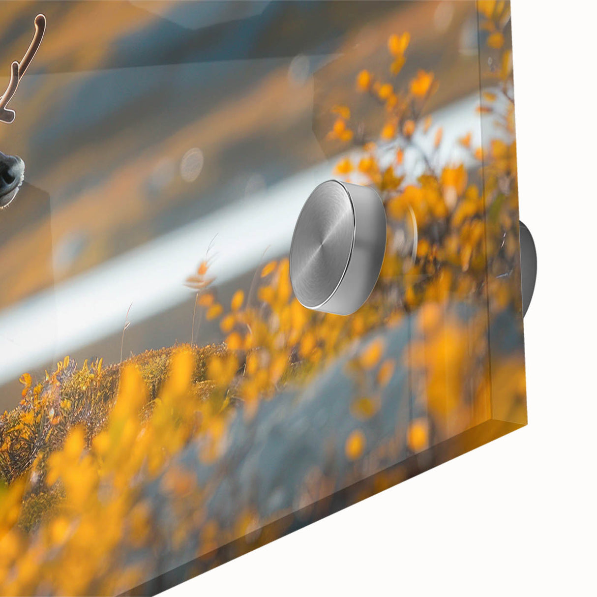 Large abstract wall art featuring a Greenland scenery in muted green and blue tones on acrylic glass.