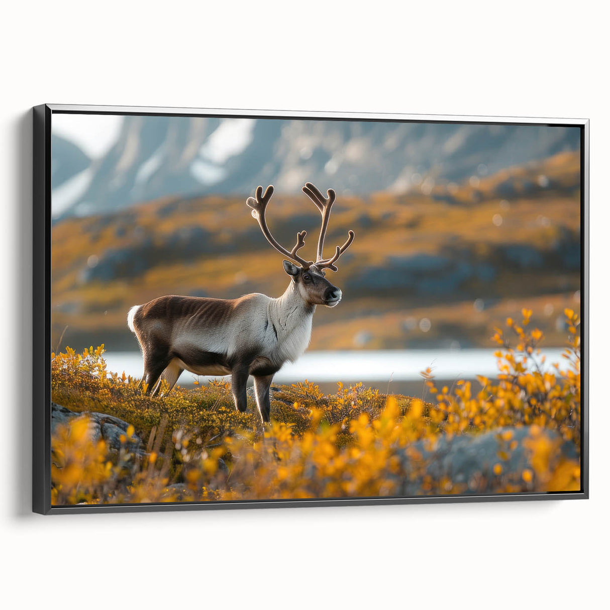 Black and white wall art featuring a vintage poster art style landscape of Greenland on a framed canvas.