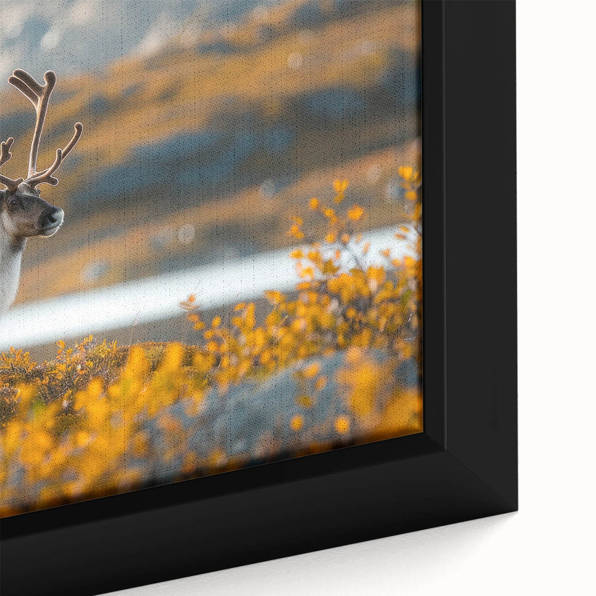 Black wall art featuring a textured close-up of a Greenlandic scenery on framed canvas, with vibrant colors.