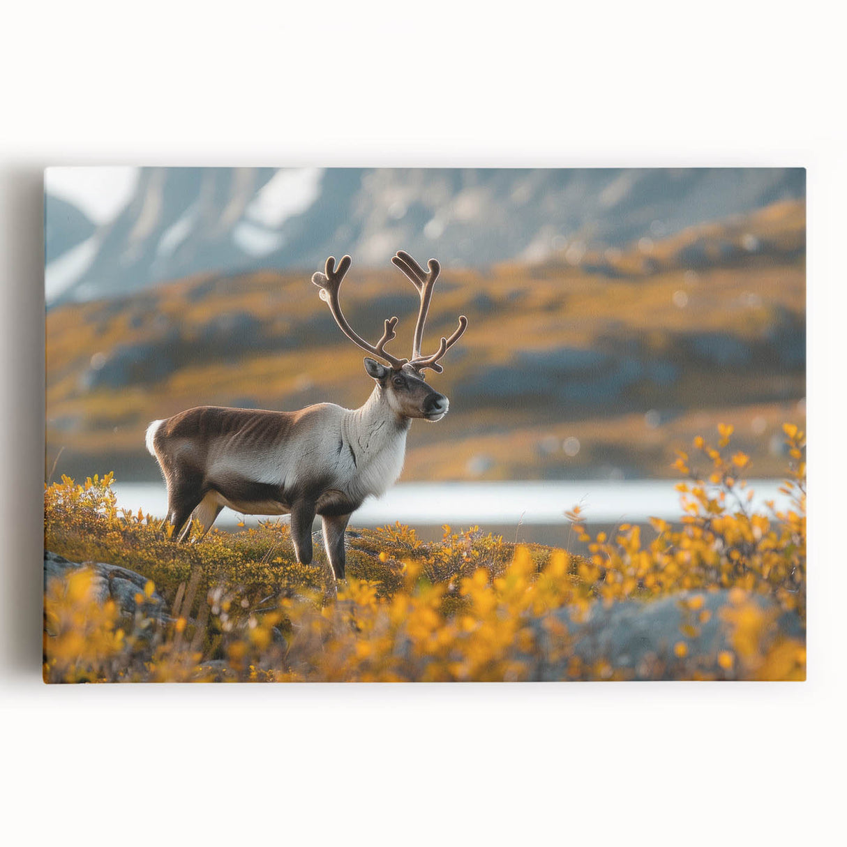 Monochrome large art canvas of a serene Greenland landscape, ideal for kitchen wall art or bedroom ambiance.