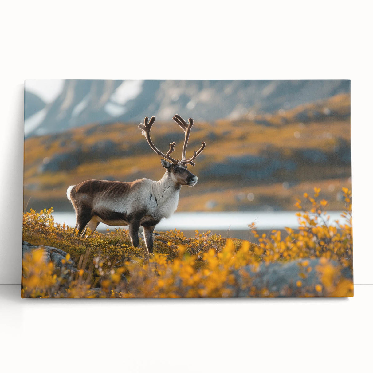 Black and white photograph of Greenland scenery on large stretched canvas, ideal for kitchen wall art.