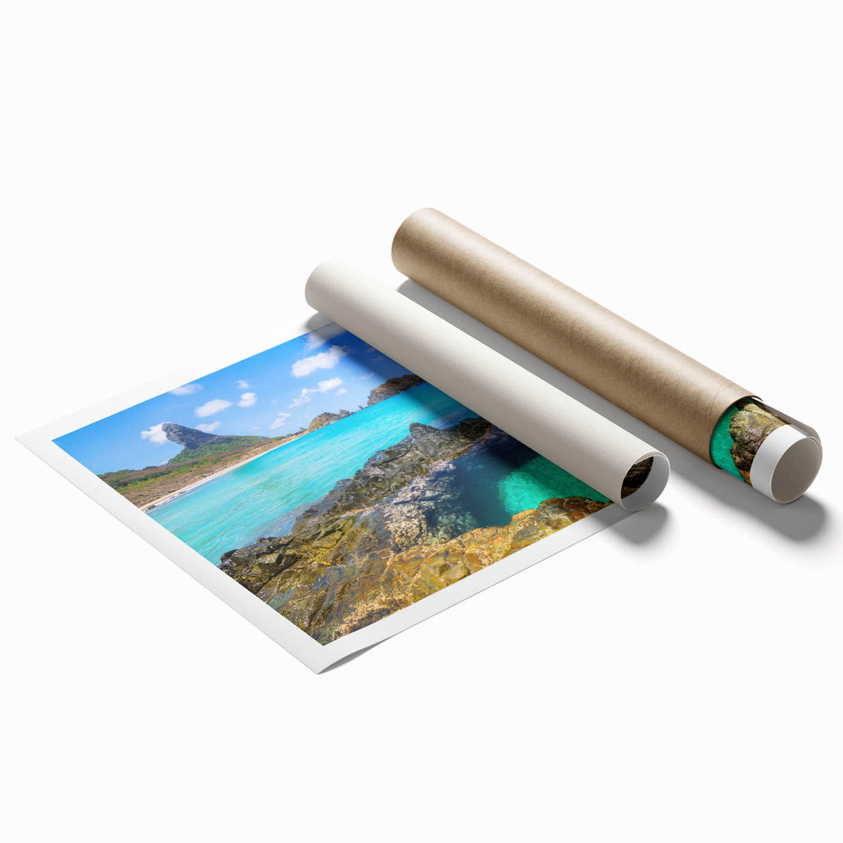 Extra large rolled print of a floral art scene in Brazil, with vibrant green and pink tones.