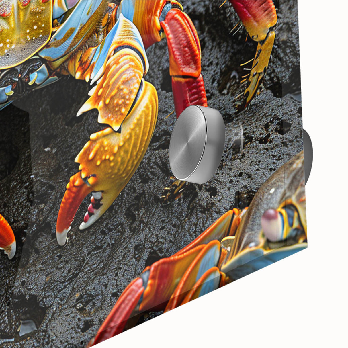 Large abstract wall art featuring a mid-century modernist style Galapagos scenery on acrylic glass.