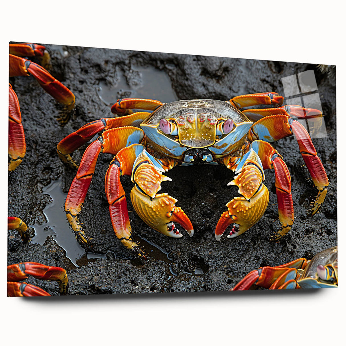 Large abstract wall art of Galapagos scenery in vibrant blue and green acrylic glass, ideal for bedroom or dining room decor.