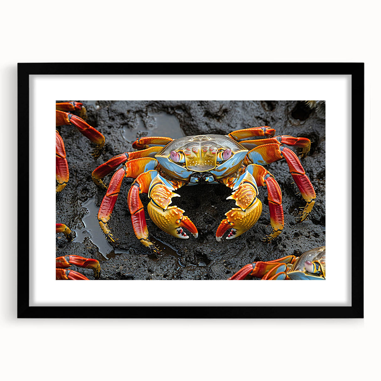 Extra large abstract art print depicting vibrant, colorful scenery of the Galápagos, framed in black with a mat.