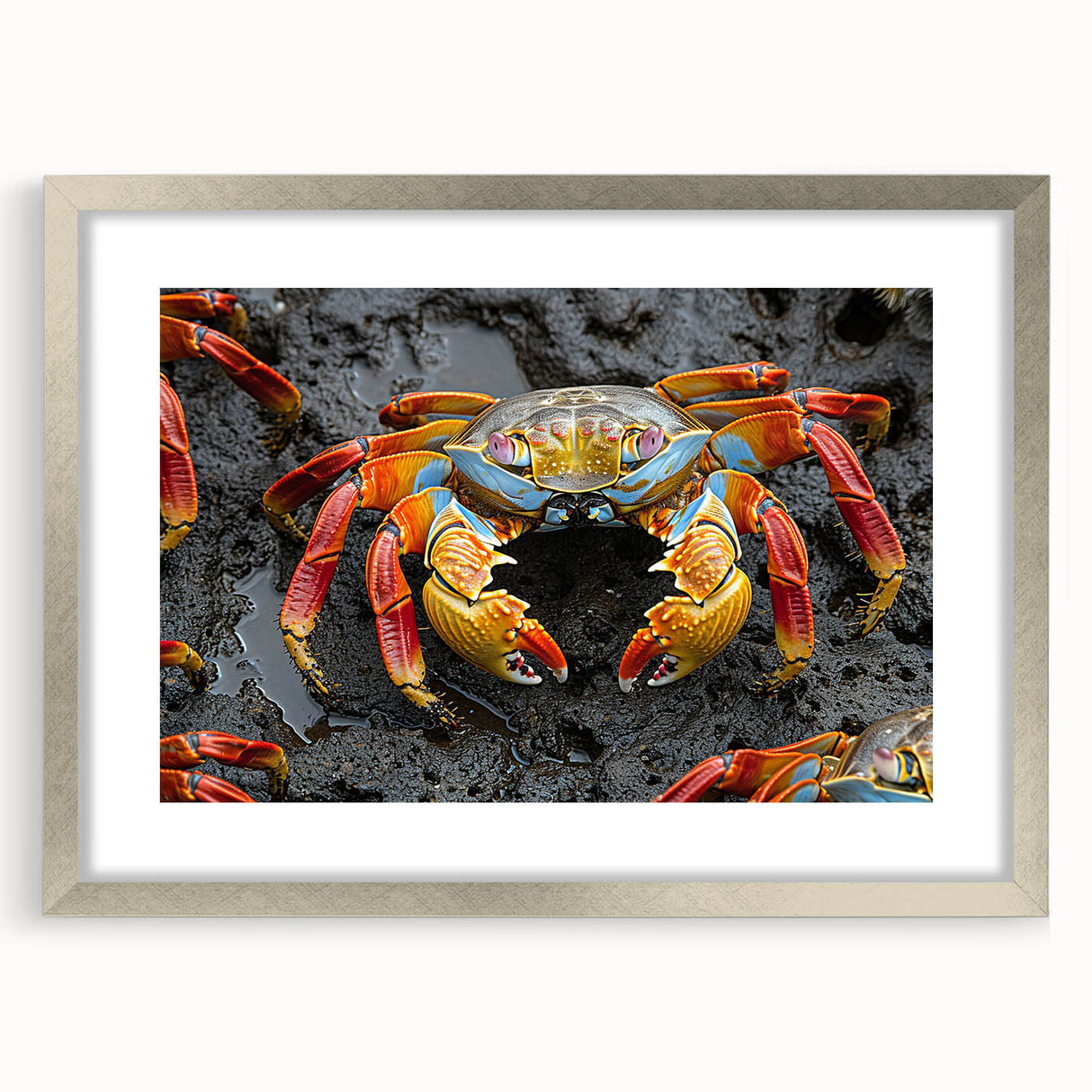 Textured abstract art print depicting Ecuador's Galapagos scenery in muted earth tones, displayed in a silver frame.