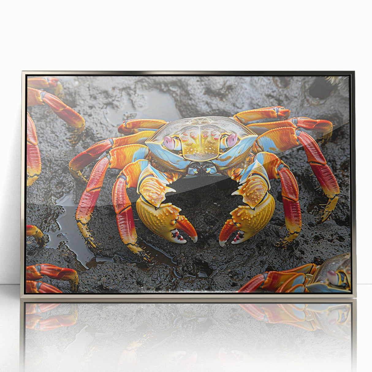Mid-century modernist art depicting the Galapagos scenery on a silver-framed acrylic, ideal for modern art wall decor.