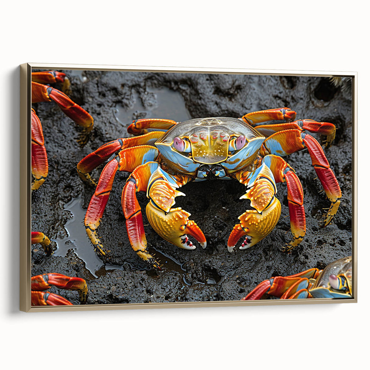 Framed canvas featuring a vintage-style landscape painting of the Galápagos Islands in muted earth tones.