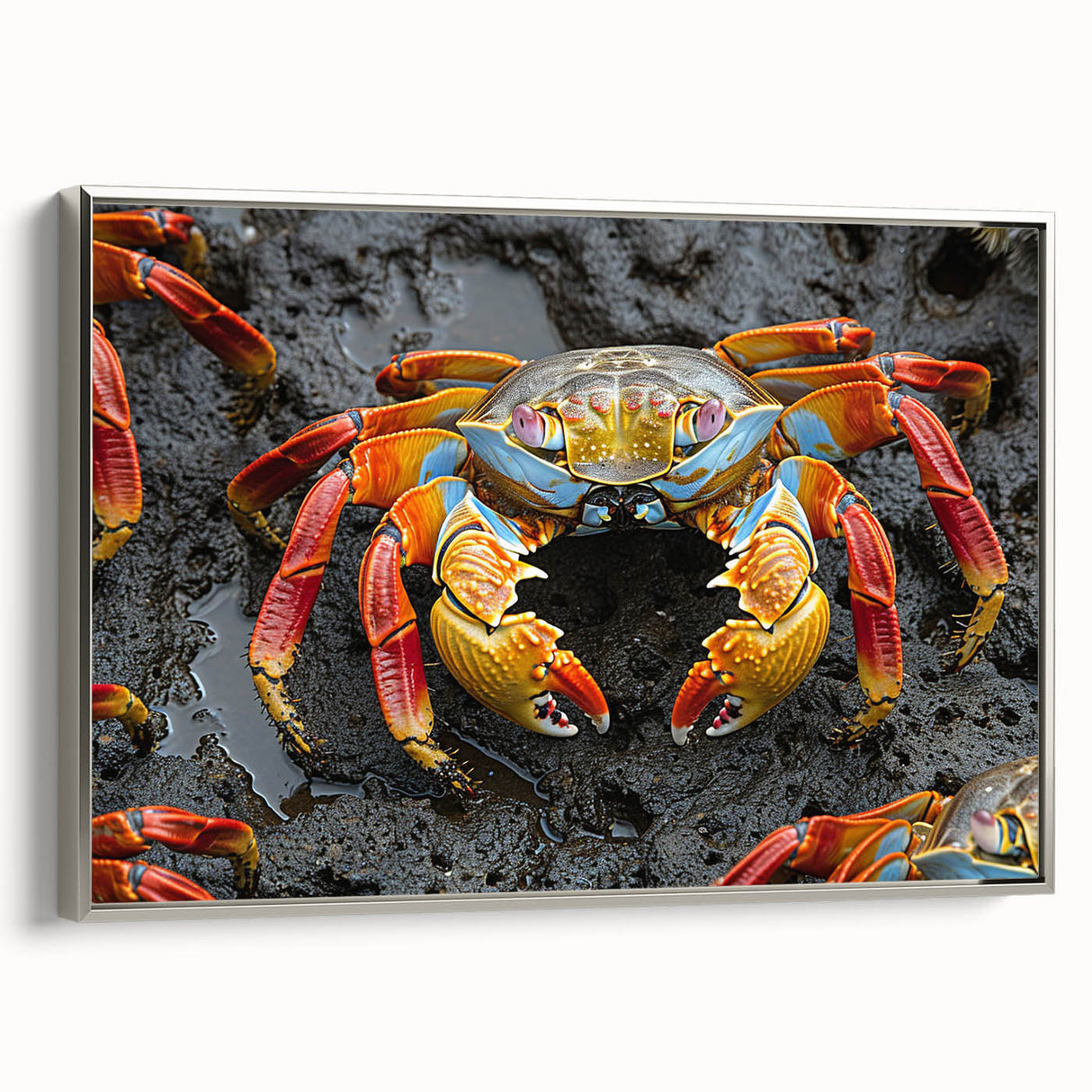 Framed canvas featuring a landscape art painting of the Galapagos with vibrant colors and vintage poster elements.