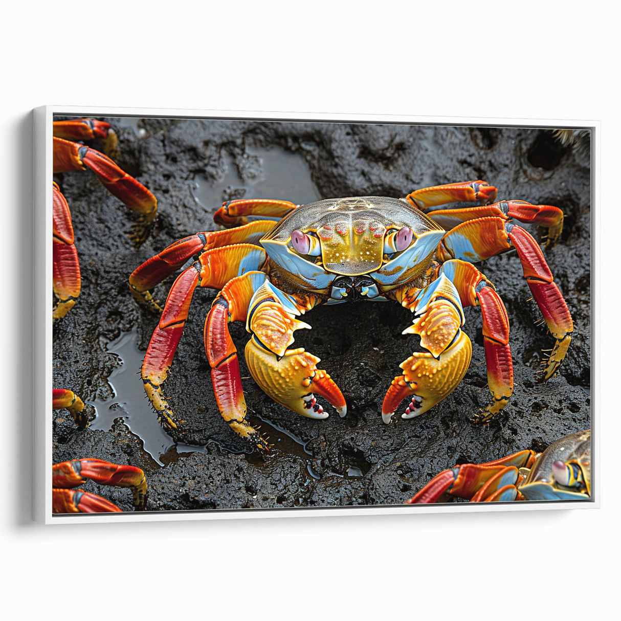 Vintage poster art of Galapagos scenery on framed canvas, featuring colorful art with a black border.
