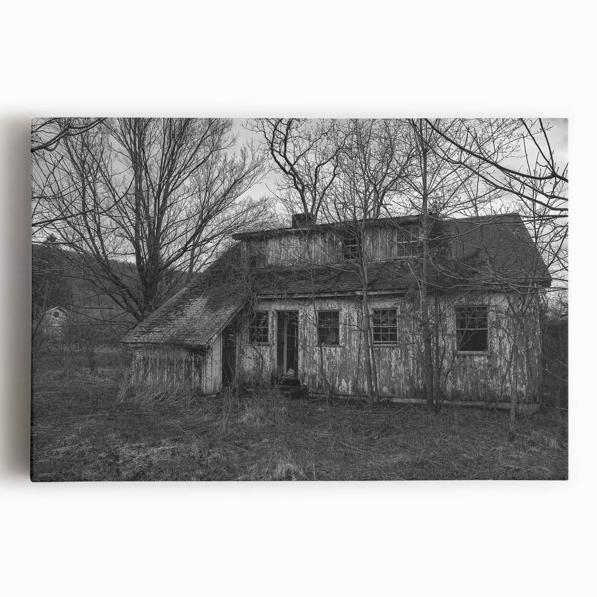 Black and white photograph of Delaware scenery on large stretched canvas, suitable for kitchen wall art.