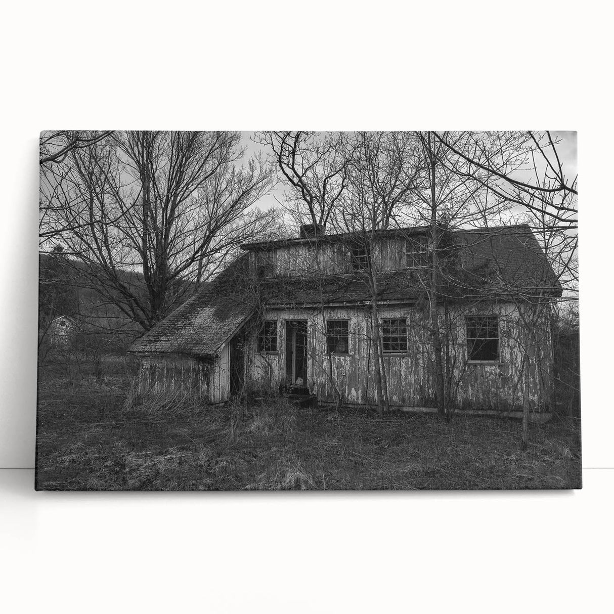 Black and white photograph of Delaware scenery on large stretched canvas.