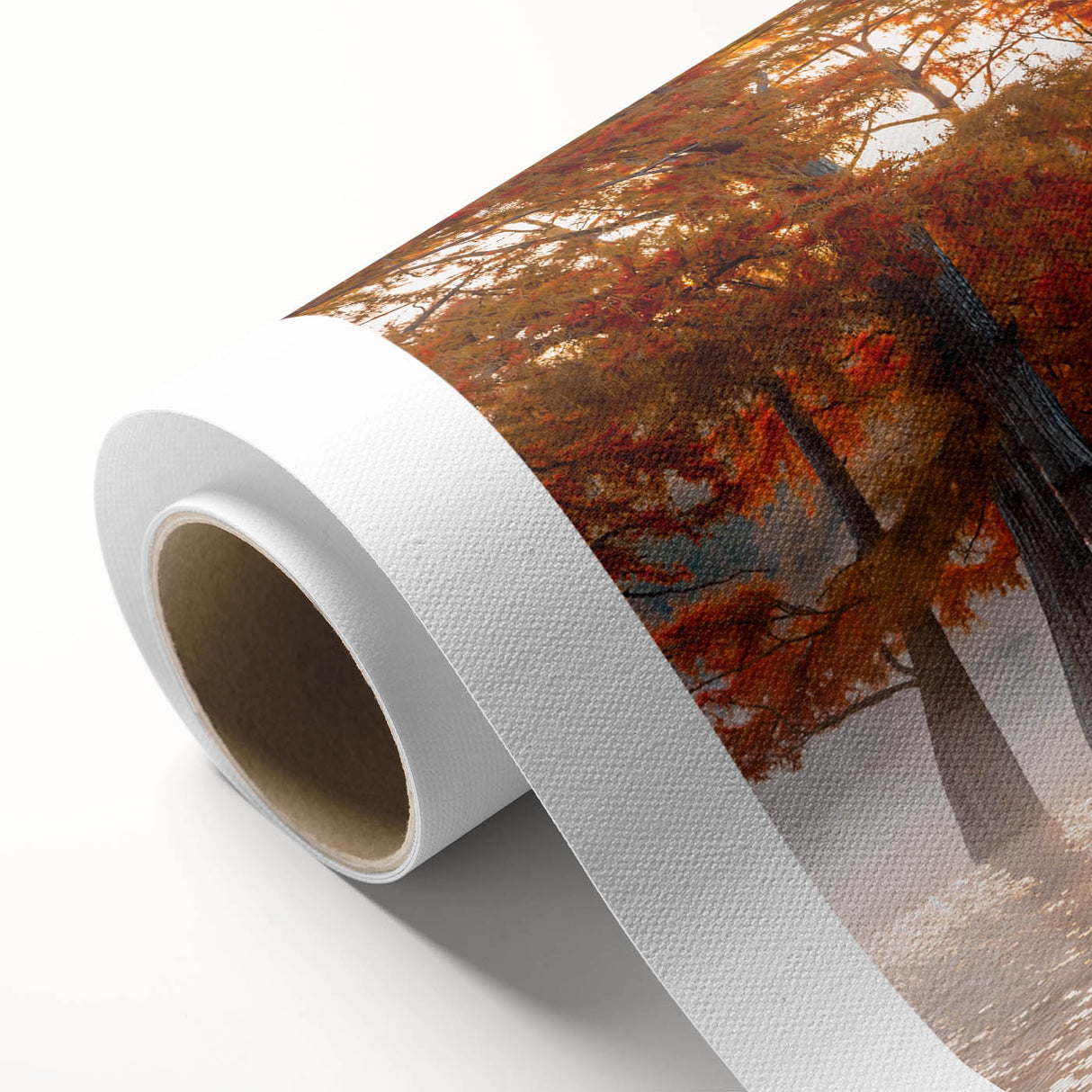 Art deco poster of Louisiana scenery in pastel shades on rolled canvas, ideal for nursery wall art.