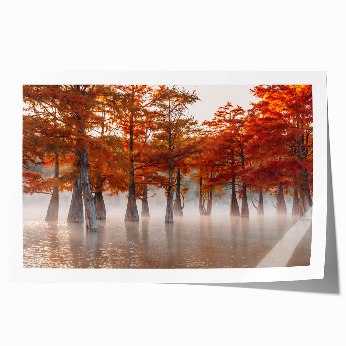 Rolled canvas print featuring a Louisiana swamp scene in muted earth tones, ideal for dining room wall art.