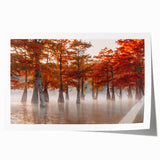 Rolled canvas print featuring a Louisiana swamp scene in muted earth tones, ideal for dining room wall art.