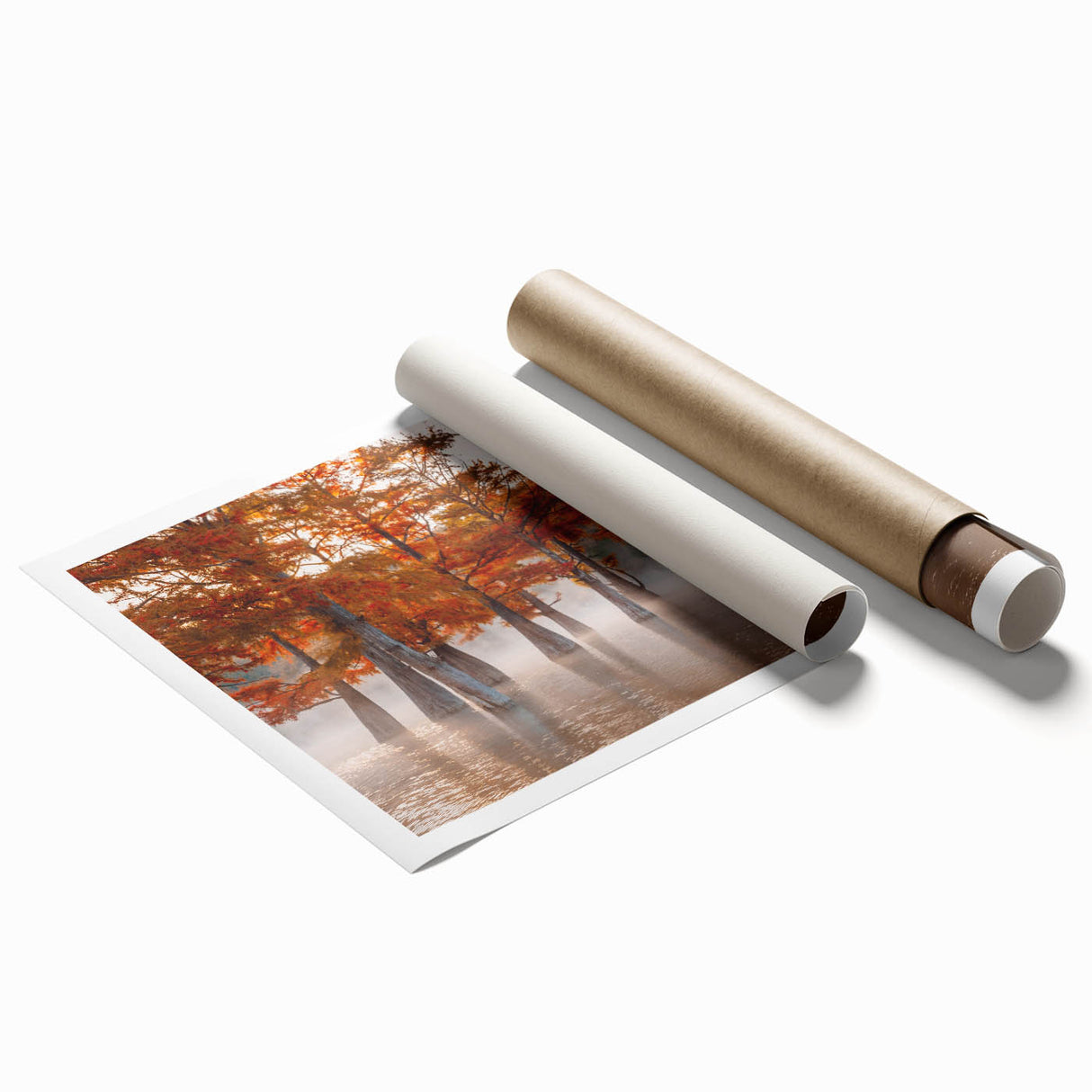 Extra large rolled print of a Louisiana swamp scene in muted greens and blues, ideal for classy bathroom wall art.