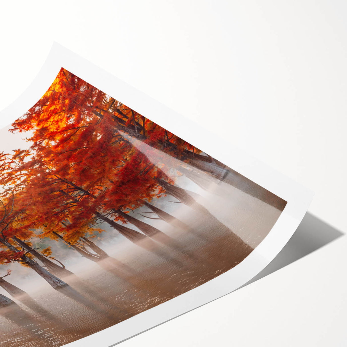 Extra large rolled print featuring line art flowers in neutral tones, ideal for large living room wall art.