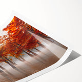 Extra large rolled print featuring line art flowers in neutral tones, ideal for large living room wall art.
