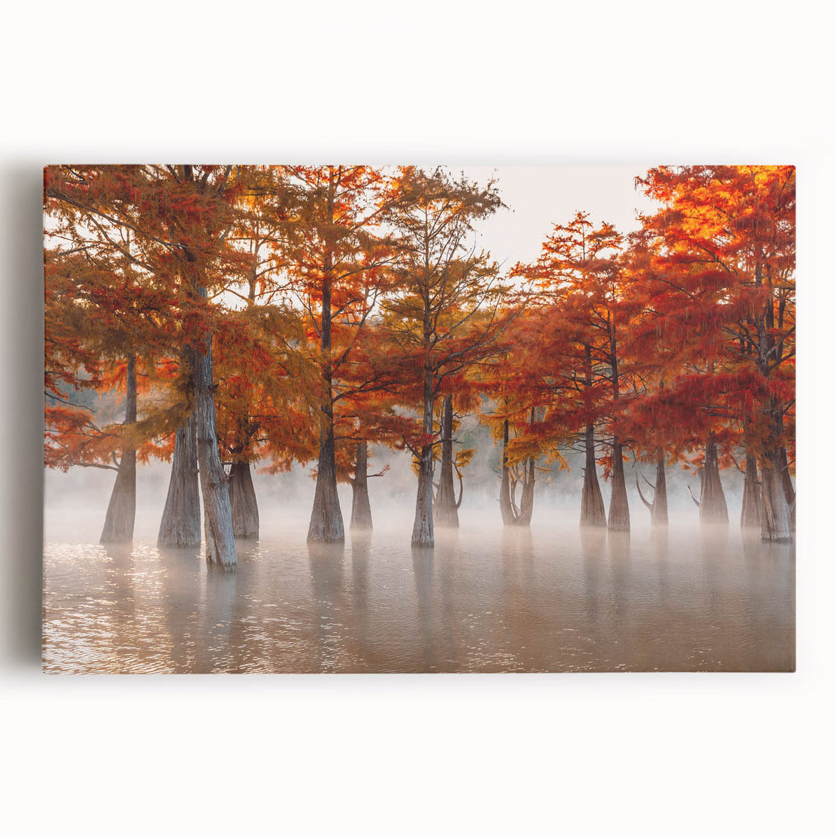 Black and white photo of Louisiana scenery on large stretched canvas, suitable for kitchen wall art.