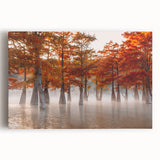 Black and white photo of Louisiana scenery on large stretched canvas, suitable for kitchen wall art.