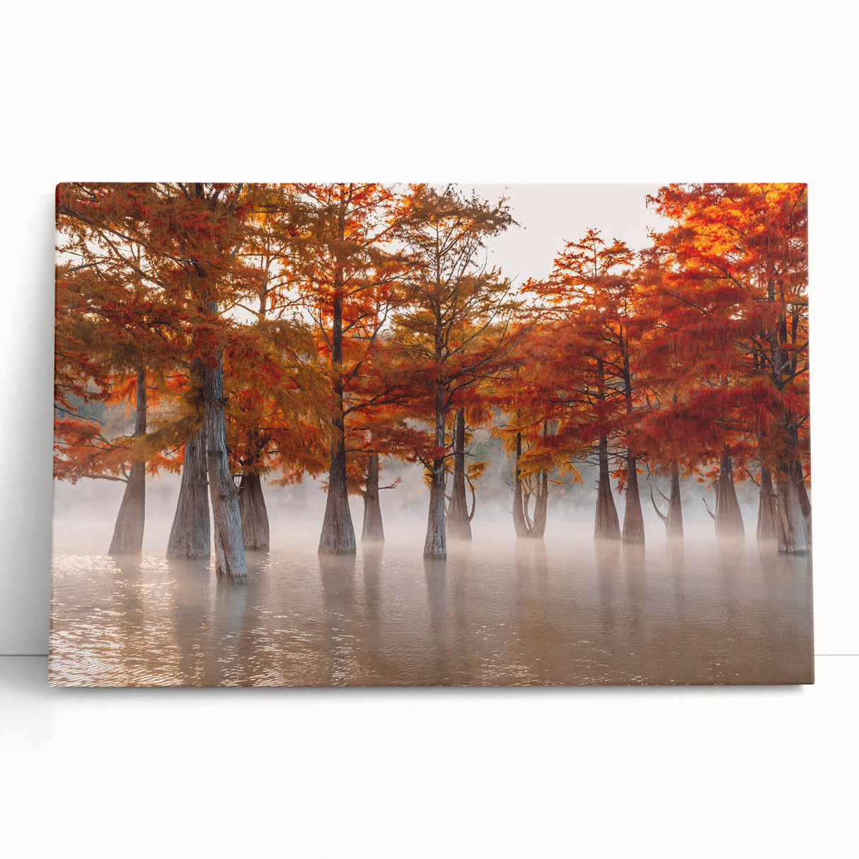 Black and white stretched canvas of Louisiana scenery, ideal for kitchen wall art or bedroom ambiance.