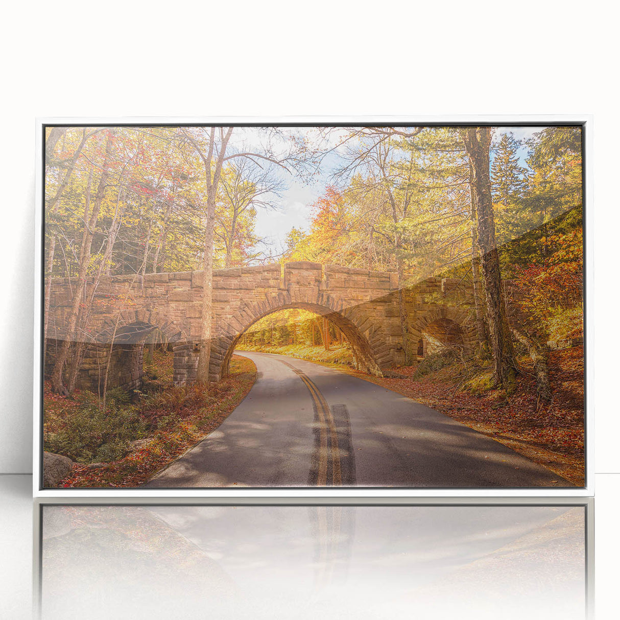 Acadia National Park scenery on white-framed acrylic, featuring muted earth tones.