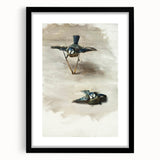 Romanticism Art: Studies of a Dead Bird by John Singer Sargent