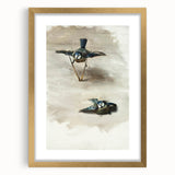 Romanticism Art: Studies of a Dead Bird by John Singer Sargent