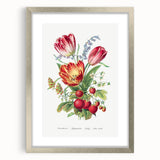 Classic Romantic Paintings - Strawberry and Tulip Art Print