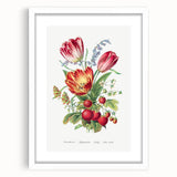 Classic Romantic Paintings - Strawberry and Tulip Art Print