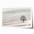 Abstract landscape rolled print featuring vibrant blues and earthy tones, showcasing a serene nature scene with flowing lines and organic shapes, perfect for home decor.