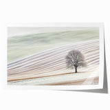 Abstract landscape rolled print featuring vibrant blues and earthy tones, showcasing a serene nature scene with flowing lines and organic shapes, perfect for home decor.