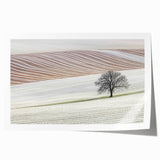 Abstract landscape rolled print showcasing vibrant colors of blue, green, and gold, featuring dynamic shapes and textures, packaged securely in a durable cardboard tube for safe shipping. Ideal for modern home decor or art enthusiasts.