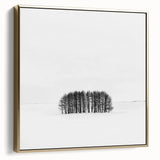 Framed canvas artwork showcasing an abstract landscape in silver and gold hues, perfect for modern decor, adding elegance to any living space.