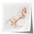 Romanticism Art: "Prancing Horse Sketch" by George Stubbs