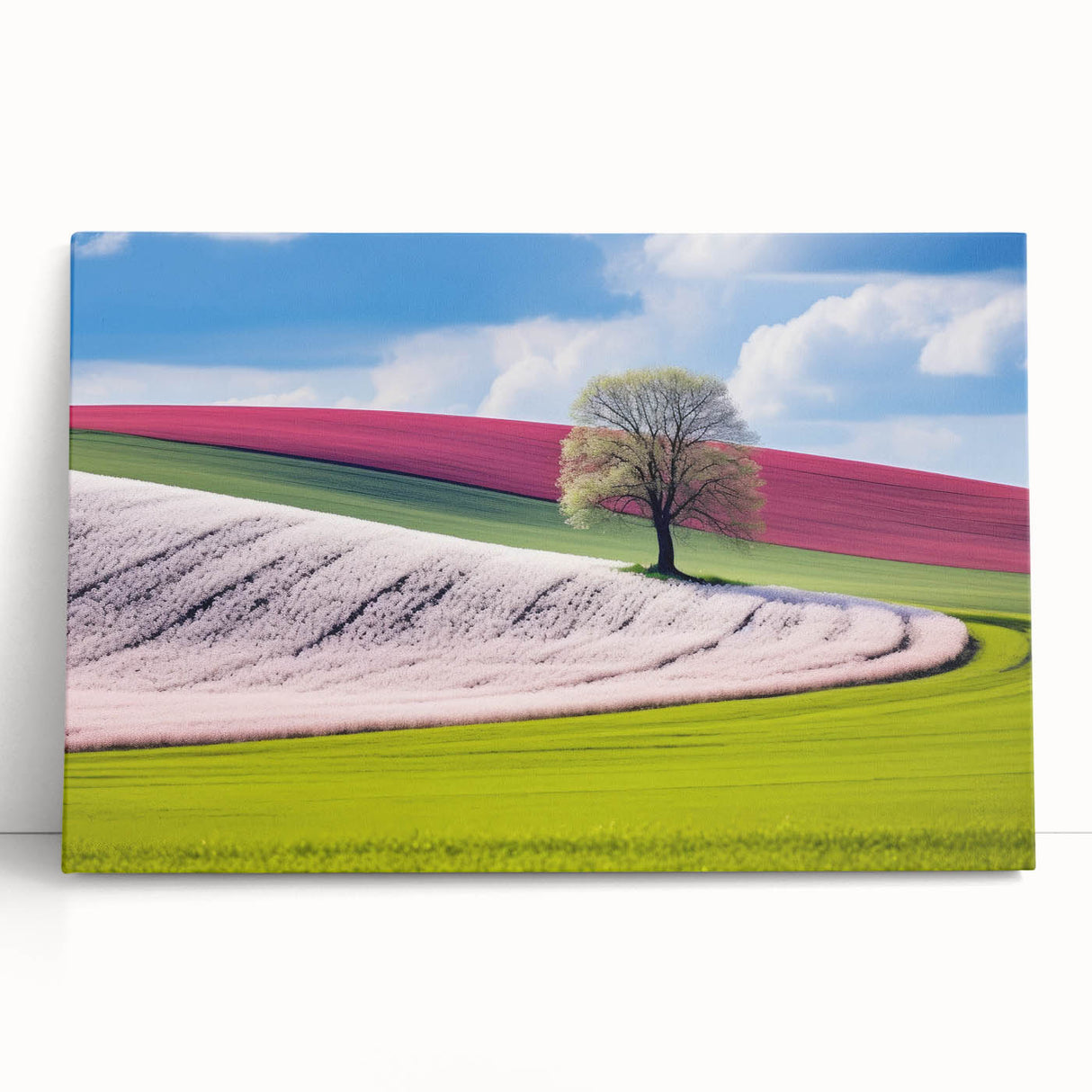 Black and white stretched canvas of Prague scenery, ideal for kitchen art.
