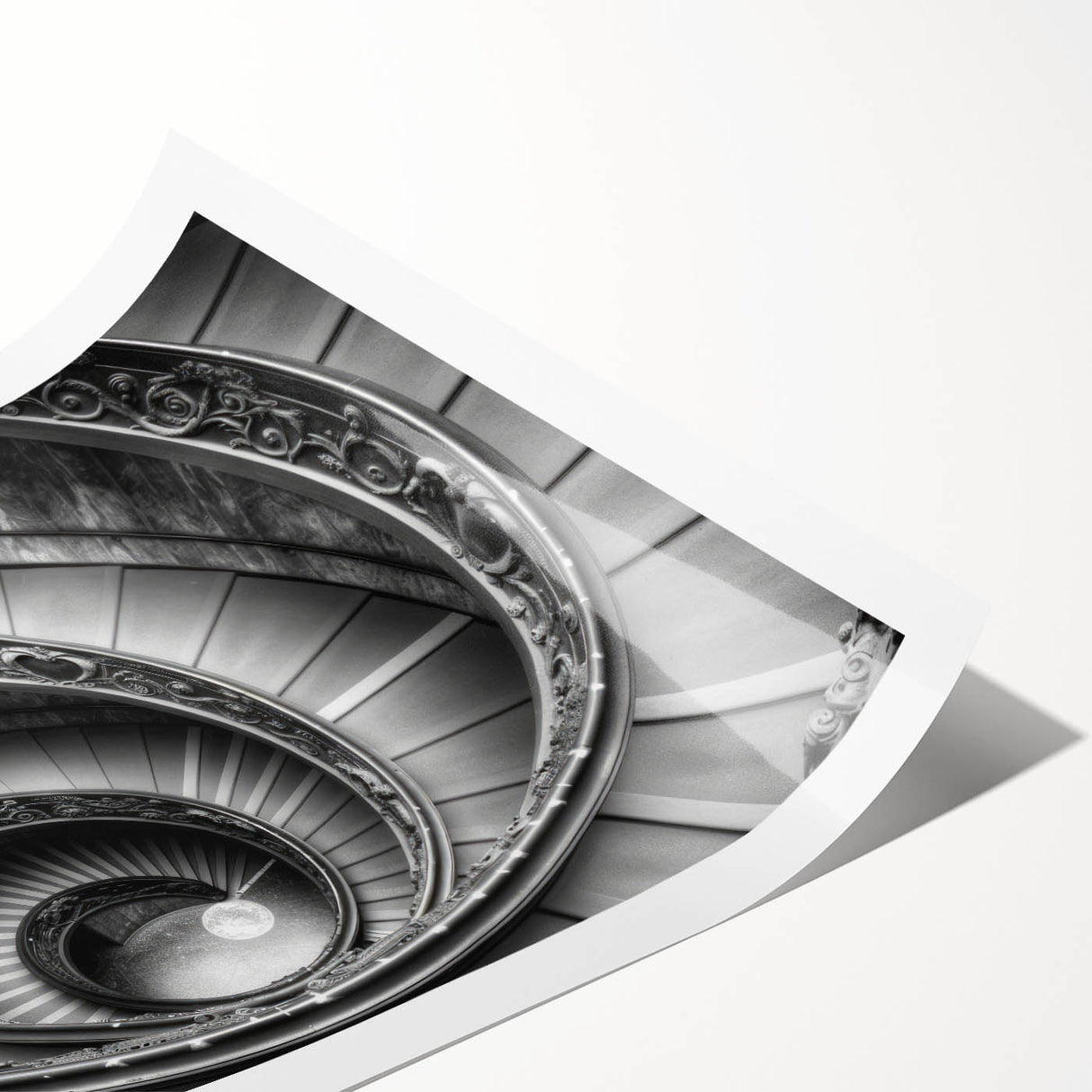 Extra large rolled print featuring line art flowers and the Vatican scenery in subtle earth tones.