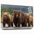 Acrylic print of a serene Alaskan landscape in muted blue and white tones, ideal for dining room decor.