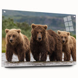 Acrylic print of a serene Alaskan landscape in muted blue and white tones, ideal for dining room decor.